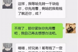 嘉鱼如何避免债务纠纷？专业追讨公司教您应对之策